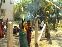 Pongal Festival
